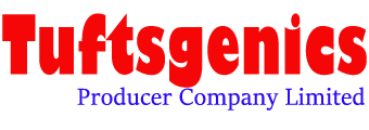 Tuftsgenics — Enterprise Client of Yamee Cluster